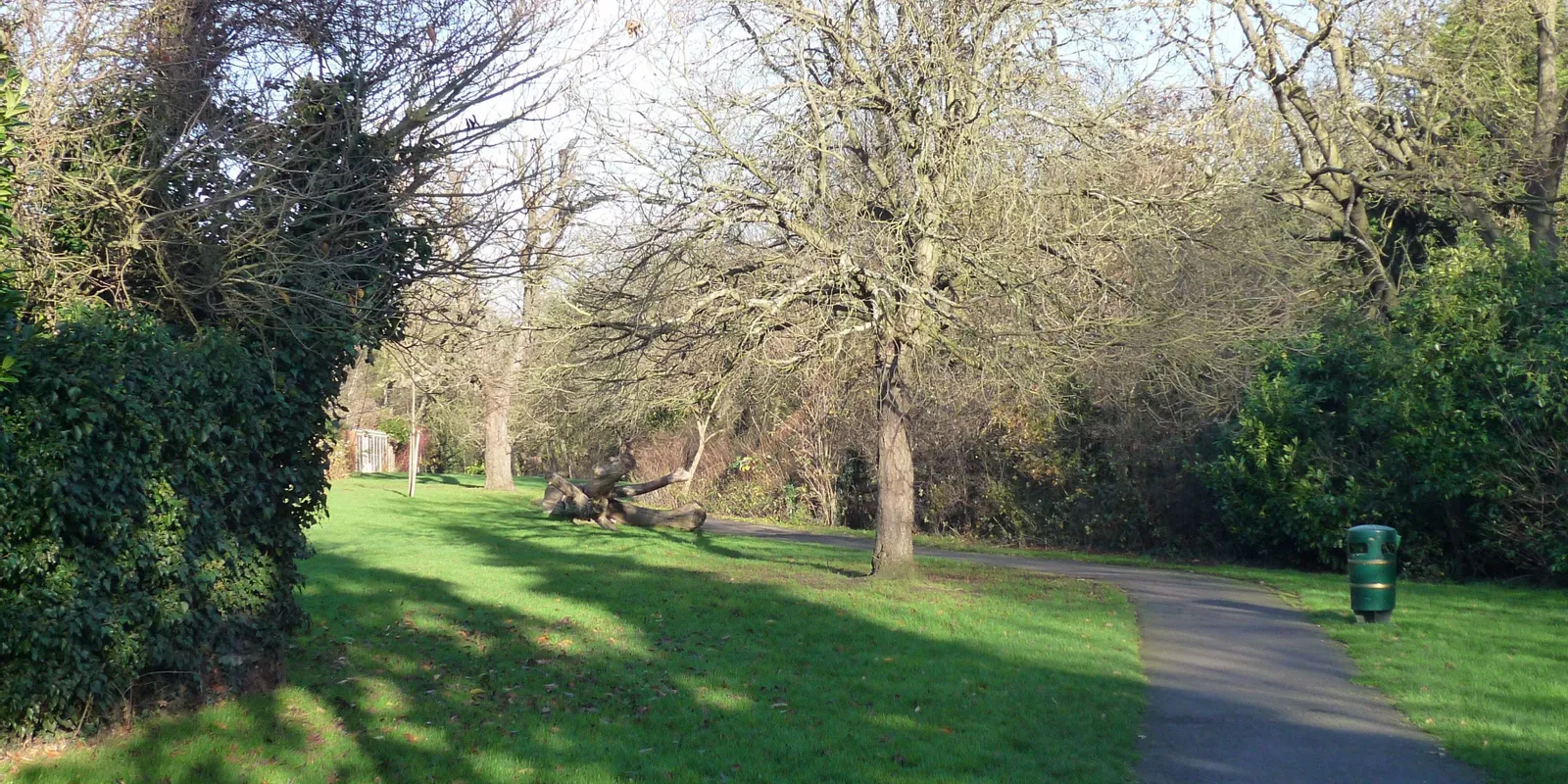 man and van in Woodside Park